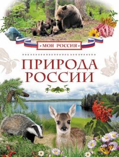 Обложка книги - Природа России - Ирина Владимировна Рысакова