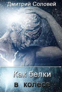 Обложка книги - Как белки в колесе - Дмитрий Соловей (Dmitr_Nightingale)