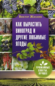 Обложка книги - Как вырастить виноград и другие любимые ягоды - Виктор Владимирович Жвакин