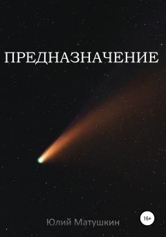 Книга - Предназначение. Юлий Матушкин - прочитать в Litvek