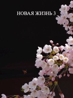 Книга - Новая жизнь 3 (СИ). Виталий Хонихоев - читать в Litvek