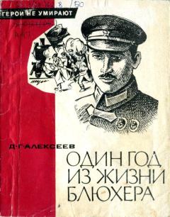 Обложка книги - Один год из жизни Блюхера - Давид Григорьевич Алексеев