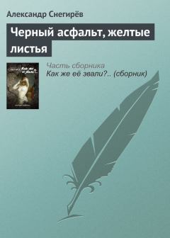 Книга - Черный асфальт, желтые листья. Александр Снегирев - читать в Litvek