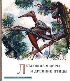 Обложка книги - Летающие ящеры и древние птицы - Зденек Буриан