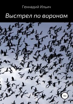 Обложка книги - Выстрел по воронам - Геннадий Владимирович Ильич