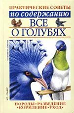Книга - Все о голубях. Светлана Петровна Бондаренко - читать в Litvek