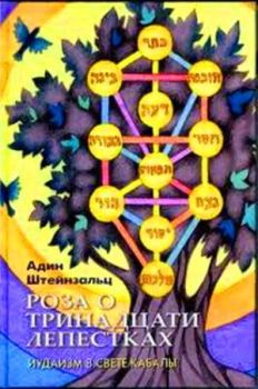 Обложка книги - Роза о тринадцати лепестках - Адин Штайнзальц