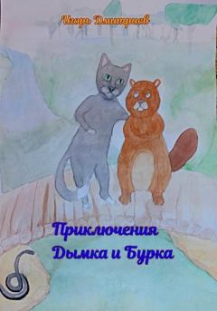 Обложка книги - Приключения Дымка и Бурка - Игорь Дмитриев