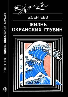 Обложка книги - Жизнь океанских глубин - Борис Федорович Сергеев