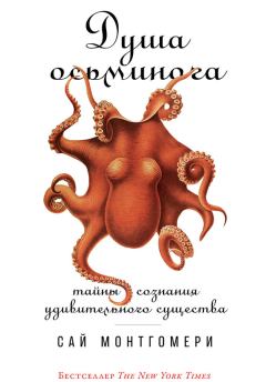 Обложка книги - Душа осьминога. Тайны сознания удивительного существа - Сай Монтгомери