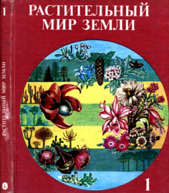 Книга - Растительный мир Земли. Т.1. Ф Фукарек - читать в Litvek