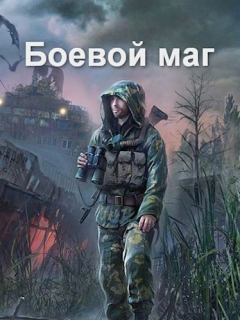 Книга - Боевой маг. Роман Соловьёв - прочитать в Litvek