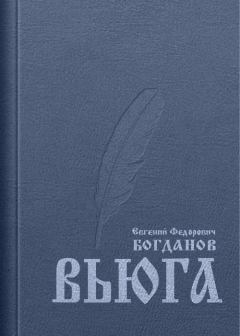 Обложка книги - Вьюга (ёфицировано) - Евгений Федорович Богданов