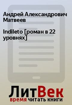Книга - Indileto [роман в 22 уровнях]. Андрей Александрович Матвеев - читать в Litvek