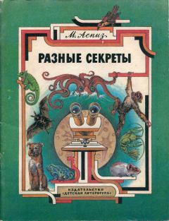 Обложка книги - Разные секреты - Мирра Евсеевна Аспиз