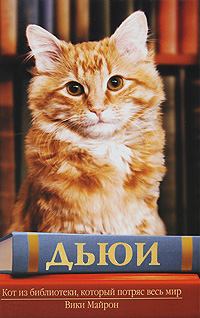 Обложка книги - Дьюи. Кот из библиотеки, который потряс весь мир - Вики Майрон