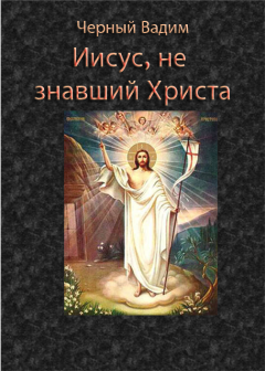 Обложка книги - Иисус, не знавший Христа - Вадим Черный