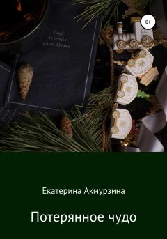 Книга - Потерянное чудо. Екатерина Сергеевна Акмурзина - читать в Litvek