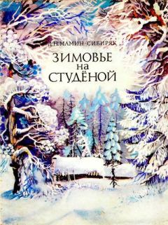 Обложка книги - Зимовье на Студёной - Дмитрий Наркисович Мамин-Сибиряк