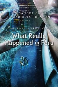 Книга - Что на самом деле произошло в Перу. Сара Риз Бреннан - читать в Litvek