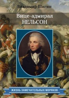 Книга - Вице-адмирал Нельсон. Владимир Виленович Шигин - прочитать в Litvek