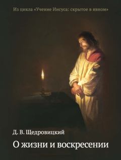 Книга - О жизни и воскресении. Дмитрий Владимирович Щедровицкий - читать в Litvek