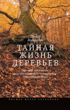 Книга - Тайная жизнь деревьев. Что они чувствуют, как они общаются – открытие сокровенного мира. Петер Вольлебен - читать в Litvek