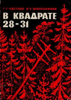 Книга - „В квадрате 28-31“. Георгий Георгиевич Светлов - читать в Litvek
