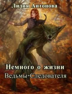 Книга - Немного о жизни Ведьмы-Следователя [СИ]. Лидия Антонова - читать в Litvek