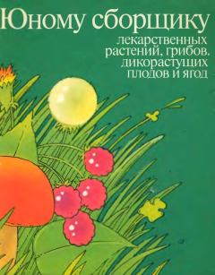 Обложка книги - Юному сборщику лекарственных растений, грибов дикорастущих плодов и ягод. Каталог - И. Гурьева