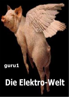 Книга - Die Elektro-Welt.  guru1 - читать в Litvek