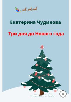 Обложка книги - Три дня до Нового года - Екатерина Чудинова