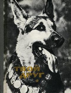 Обложка книги - Твой друг (Сборник по собаководству, 1973 г.) - К Б Глиер