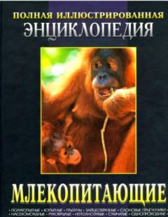 Книга - Млекопитающие. Полная иллюстрированная энциклопедия. Книга 2.  Коллектив авторов - прочитать в Litvek