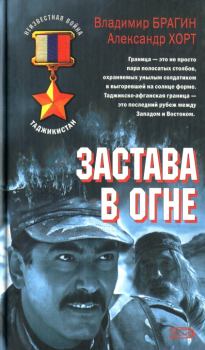 Обложка книги - Застава в огне - Владимир Брагин