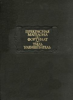 Обложка книги - Тиль Уленшпигель -  Средневековая литература