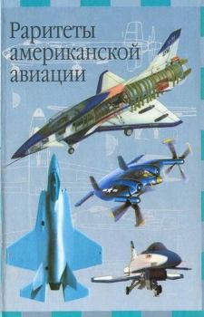 Книга - Раритеты американской авиации. И Кудишин - читать в Litvek