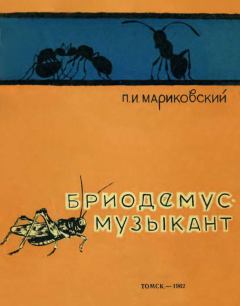 Книга - Бриодемус-музыкант. Павел Иустинович Мариковский - прочитать в Litvek