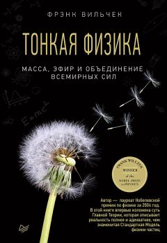 Книга - Тонкая физика. Фрэнк Вильчек - читать в Litvek