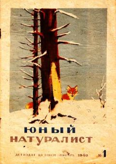 Книга - Юный натуралист 1940 №1. Журнал «Юный натуралист» - читать в Litvek