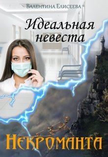 Обложка книги - Идеальная невеста некроманта - Валентина Ильинична Елисеева