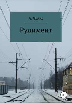 Книга - Рудимент. Алина Андреевна Чайка - прочитать в Litvek
