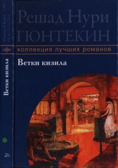 Книга - Ветки кизила. Решад Нури Гюнтекин - читать в Litvek