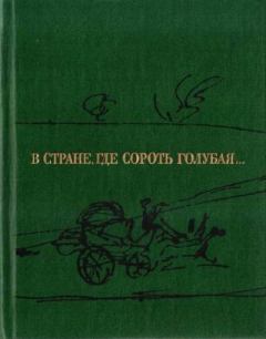 Книга - В стране, где Сороть голубая.... Семен Степанович Гейченко - читать в Litvek