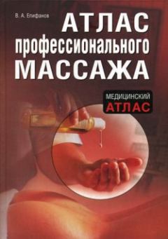 Книга - Атлас профессионального массажа. Виталий Александрович Епифанов - читать в Litvek