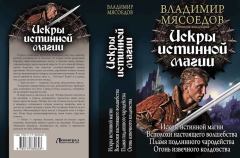 Обложка книги - Огонь извечного колдовства - Владимир Михайлович Мясоедов