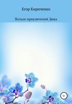 Обложка книги - Начало приключений Дюка - Егор Михайлович Кириченко