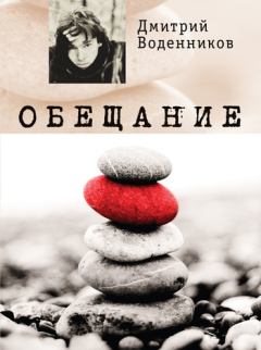 Книга - Обещание. Дмитрий Борисович Воденников - читать в Litvek