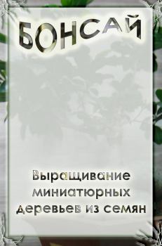Обложка книги - Выращивание миниатюрных деревьев из семян - Илья Мельников
