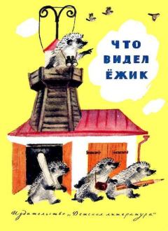 Обложка книги - Что видел ёжик - М. Алимбаев